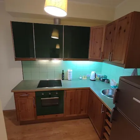 Cozy Studio In Kuldigas Street