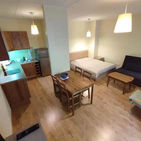 Cozy Studio In Kuldigas Street